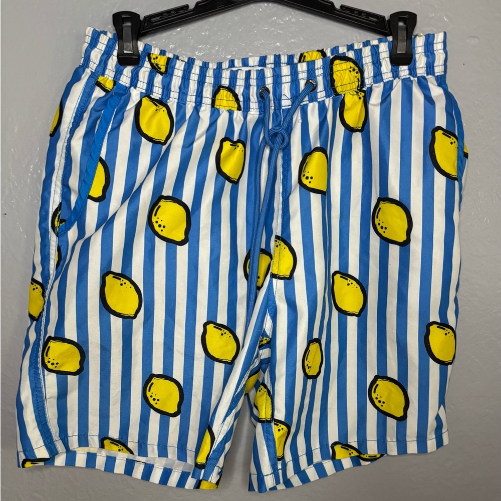 Men's Mr. Swim blue white stripe Lemons swim suit.‎ SZ L. Lined drawstring beach
